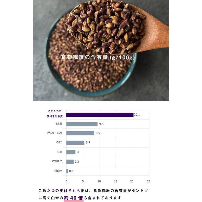 皮付き もち麦 4kg 国産 2kg×2袋 無添加 ダイシモチ こめたつ