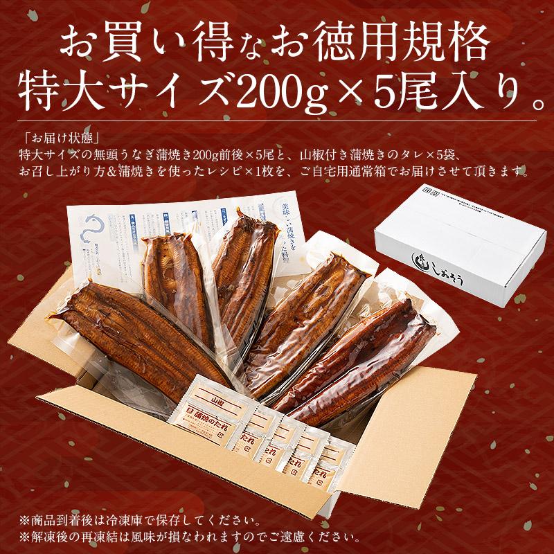 うなぎ 蒲焼き 国産 無頭 特大サイズ 約200g×5尾 ウナギ 鰻 うなぎ蒲焼 贈り物 ギフト グルメ プレゼント 冬グルメ 冬ギフト