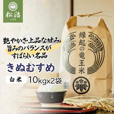 ふるさと納税 竜王町 特別栽培米きぬむすめ白米20kg　十代目松治の「縁起の竜王米」