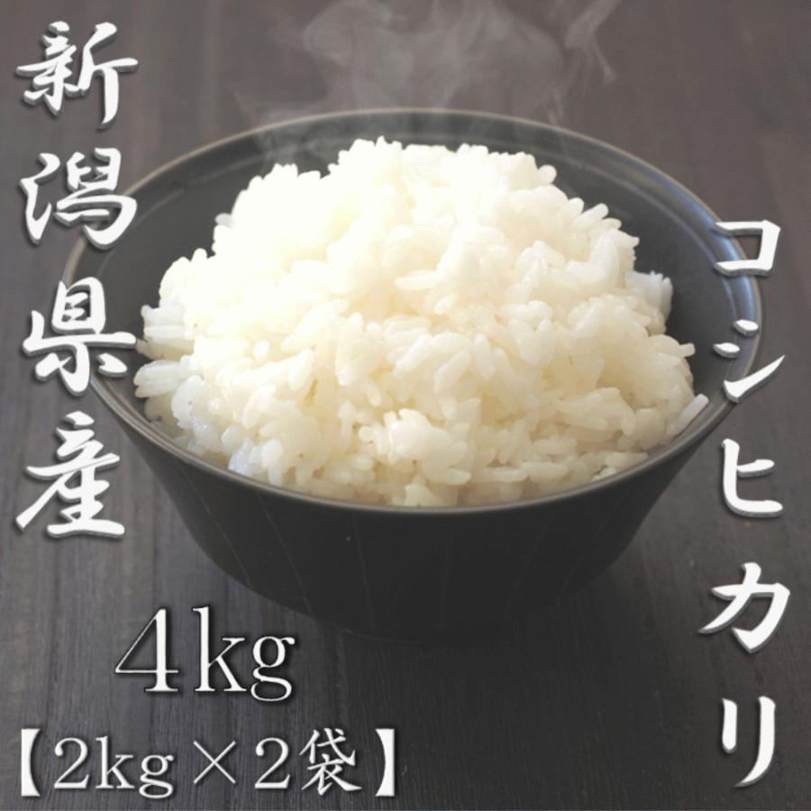 新米 新潟県産コシヒカリ 2kg×2袋 合計4kg