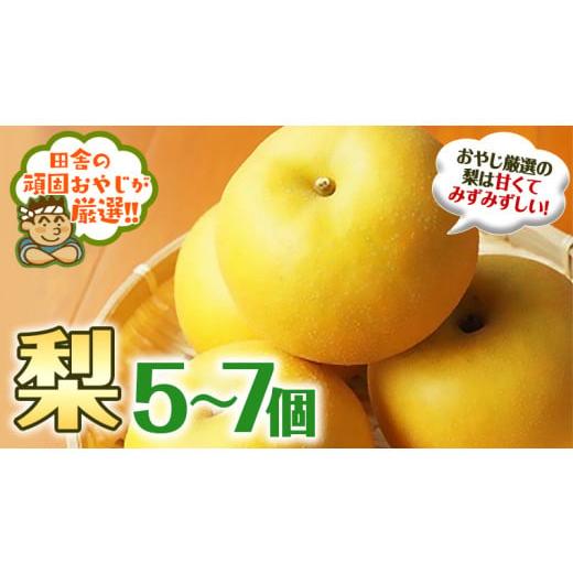 ふるさと納税 茨城県 つくばみらい市 梨 5〜7個 田舎の頑固おやじが厳選！