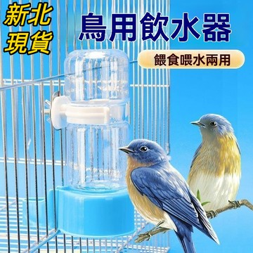 ⚡現貨 隔日達⚡鸚鵡飲水器 撞針飲水器 自動飲水器 內外掛撞針飲水器 飲水器 鳥類飲水器 鸚鵡水壺 撞針水壺 玄風 和尚