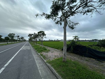 台東市新生段臨馬亨亨大道都內農地｜台東縣台東市新生段