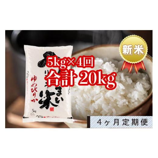 ふるさと納税 北海道 雨竜町 うりゅう米「ゆめぴりか」5kg 定期便！毎月1回・計4回お届け