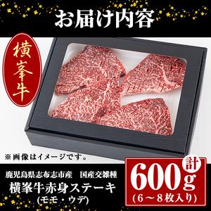 ふるさと納税 鹿児島県志布志市産(国産交雑種) 横峯牛の赤身ステーキ(600g・6〜8枚入り) b0-164 鹿児島県志布志市