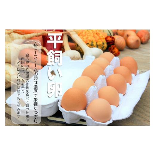 ふるさと納税 島根県 海士町 季節の野菜詰め合わせ（7〜8種）と平飼い卵セット！農薬不使用だから安心安全！