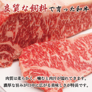 A5 A4 等級使用 博多和牛 モモ しゃぶしゃぶ用 600g [a0192] 有限会社筑前屋 ※配送不可：離島添田町 ふるさと納税