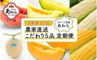 ≪定期便 全3回≫フルーツ王国あわらのこだわり5品 農家直送 厳選品／ 期間限定 果物 フルーツ 青肉メロン 赤肉メロン 西瓜 とうもろこし 産地直送 ※2024年6月中旬より順次発送