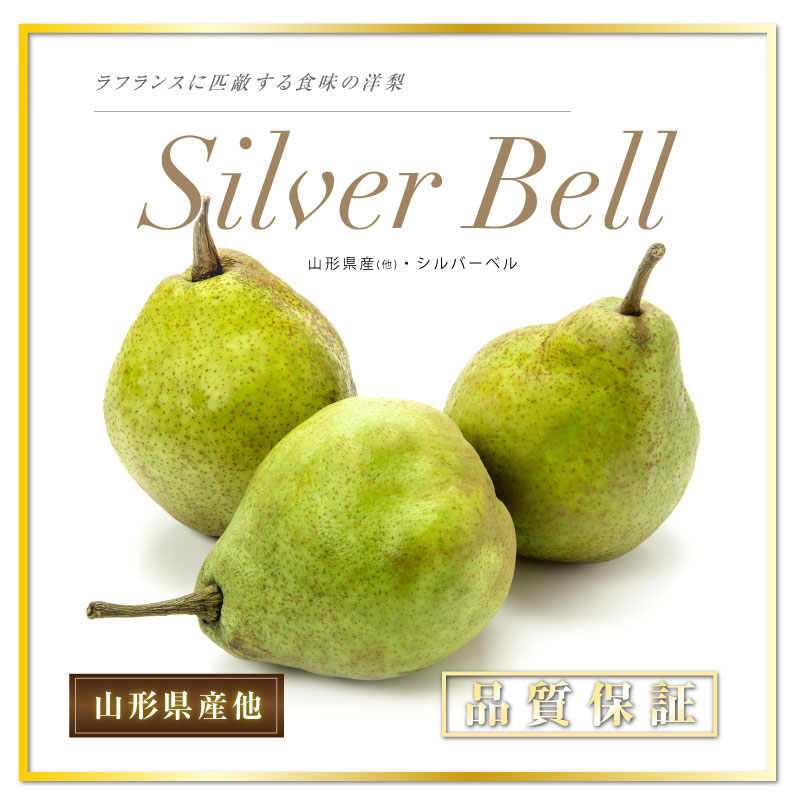 [予約 12月1日-12月20日の納品] 洋梨 シルバーベル 約2kg 4玉-8玉 山形県産 他 秋ギフト ラフランス 梨 果実専用箱 冬ギフト お歳暮 御歳暮