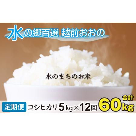 ふるさと納税 こしひかり 5kg×12回 計60kg「エコファーマー米」水のまちのお米 [H-003001] 福井県大野市