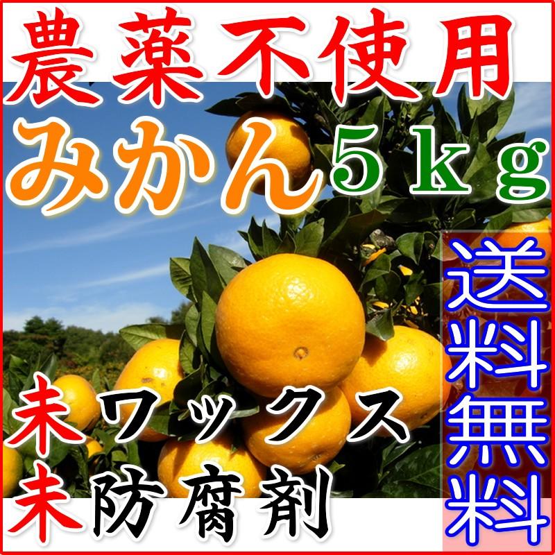 無農薬 訳あり みかん 約 5kg 愛媛みかん ミカン 蜜柑 サイズ混合 産地直送 大三島 ore NN