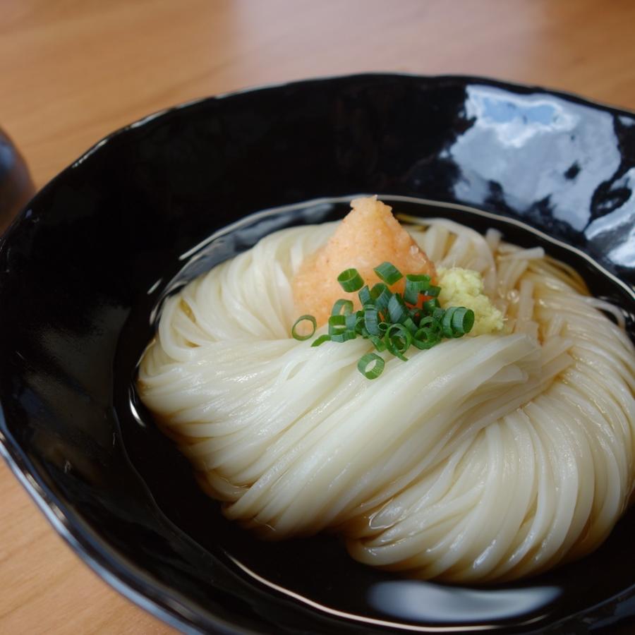 稲庭うどん 送料無料 家庭用 稲庭絹女うどん 通販 人気 セット おすすめ 秋田 つゆ 比内地鶏 うどん 6人前