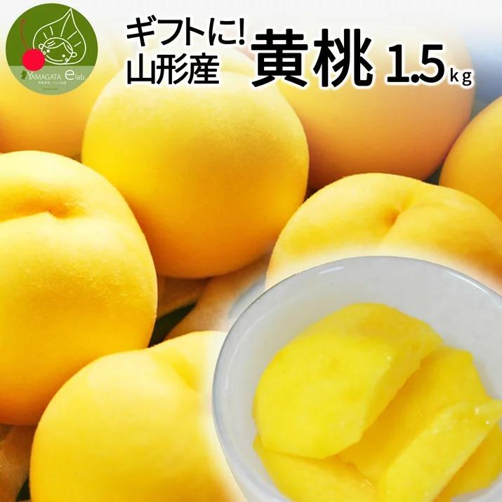  山形県産 黄桃 秀品 約1.5kg (6玉前後) クール便 化粧箱入り 硬い桃 黄桃 産地直送 黄桃　ギフト 桃 送料無料 果物 フルーツ