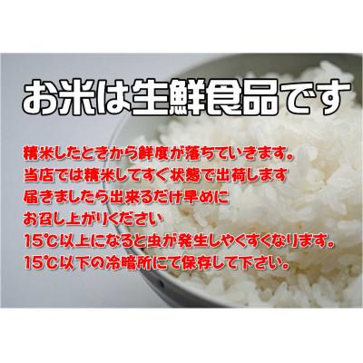 ふるさと納税 釜石市 もっちり米30kg