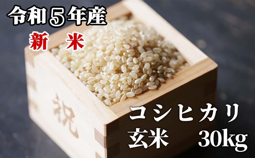 玄米 30kg 令和5年産 コシヒカリ 岡山 「おおがや米」生産組合 G-ad-ACZA