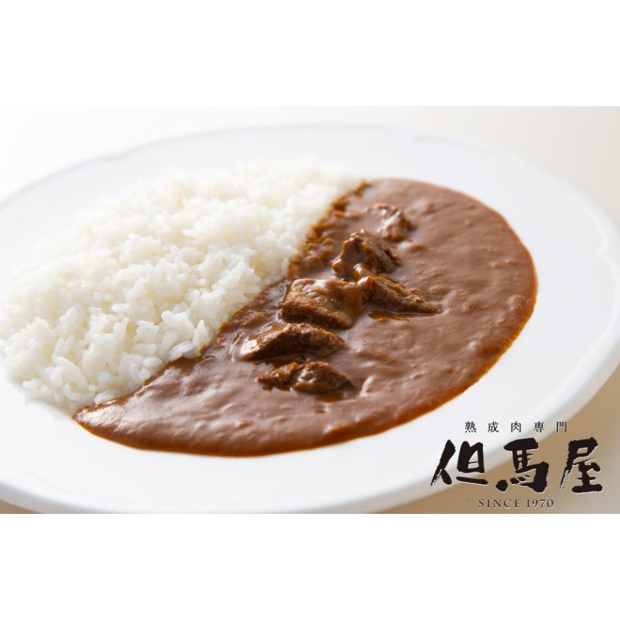 ミッション 農林水産大臣賞受賞 但馬屋カレー詰合せ6食セット FN0MZ