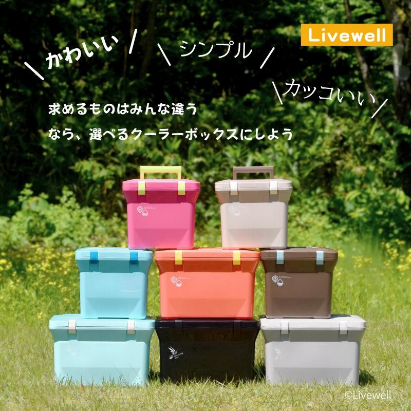 クーラーボックス 小型 保冷力 おしゃれ かわいい 保冷バッグ お