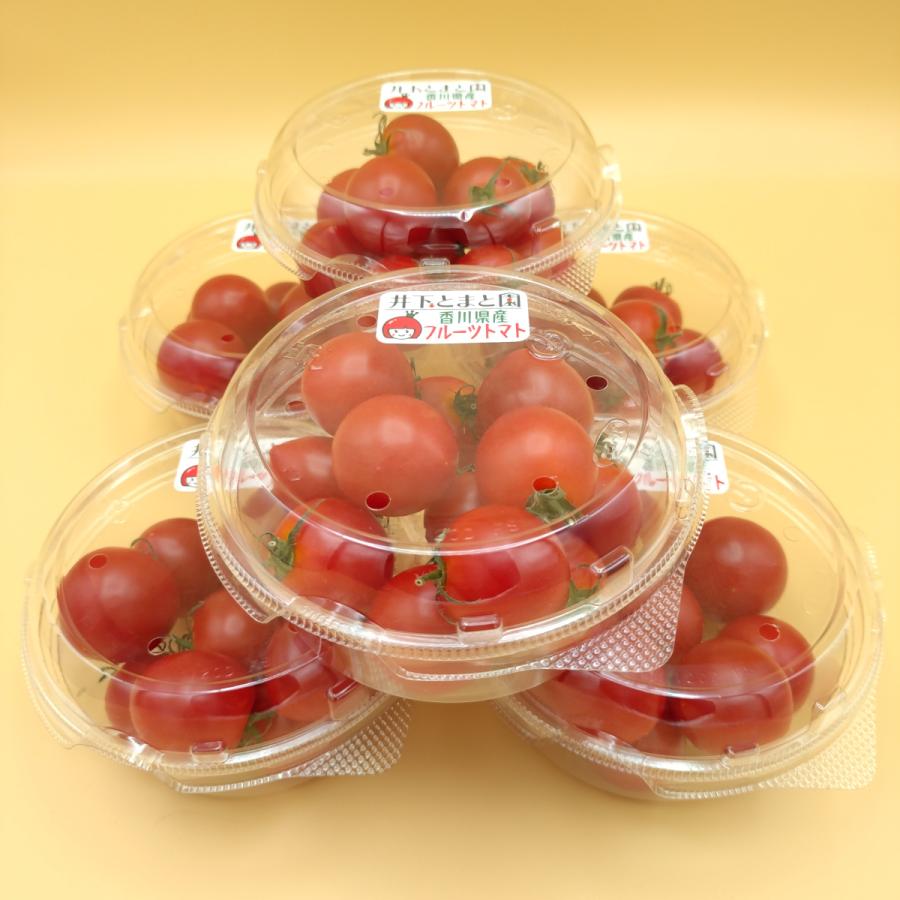 ＜フルーツトマト＞香川県産完熟トマト シェアパック フリーサイズ約2kg＜約170g×12パック＞