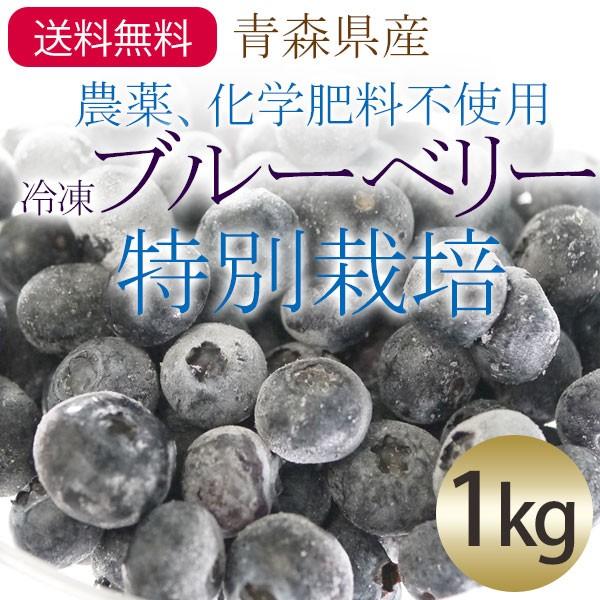 （冷凍）青森県産冷凍ブルーベリー果実（農薬・化学肥料不使用 特別栽培）※サイズ混合約1kg　国産　2023年新物