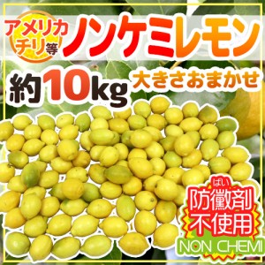 チリ・アメリカ産など ”ノンケミレモン” 大きさおまかせ 約10kg 安心の防ばい剤不使用！ノンケミカル 防黴剤（防かび剤）不使用【予約