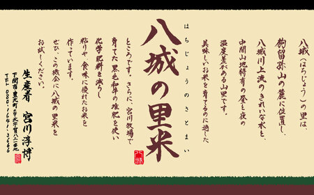 令和5年 山口県産 きぬむすめ 精米 10kg×3回 GA009