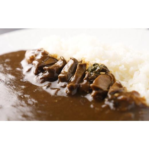 ふるさと納税 和歌山県 広川町 和歌山のアワビ屋さんがつくったあわびカレー ＜日付指定OK＞