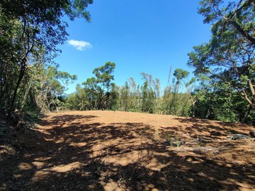 J058竹林旁資材室｜新北市三芝區芝柏