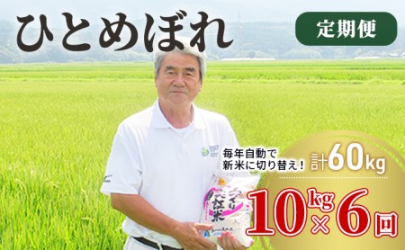 〈定期便〉 ひとめぼれ 白米 10kg（5kg×2袋）×6回 計60kg 6ヶ月 令和5年 精米 土づくり実証米 毎年11月より 新米 出荷