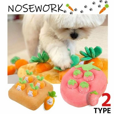 ノーズワーク 嗅覚トレーニング にんじん いちご ペット おもちゃ 知育玩具 知育トイ 犬 イヌ 猫 ペット用 認知症 防止トレーニング 訓練 健康 おやつ入れ 通販 Lineポイント最大0 5 Get Lineショッピング