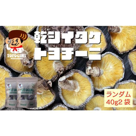 ふるさと納税 大分県 宇佐市 A-446 トヨチーニ 乾椎茸 40g×2袋 計80g 原木 しいたけ