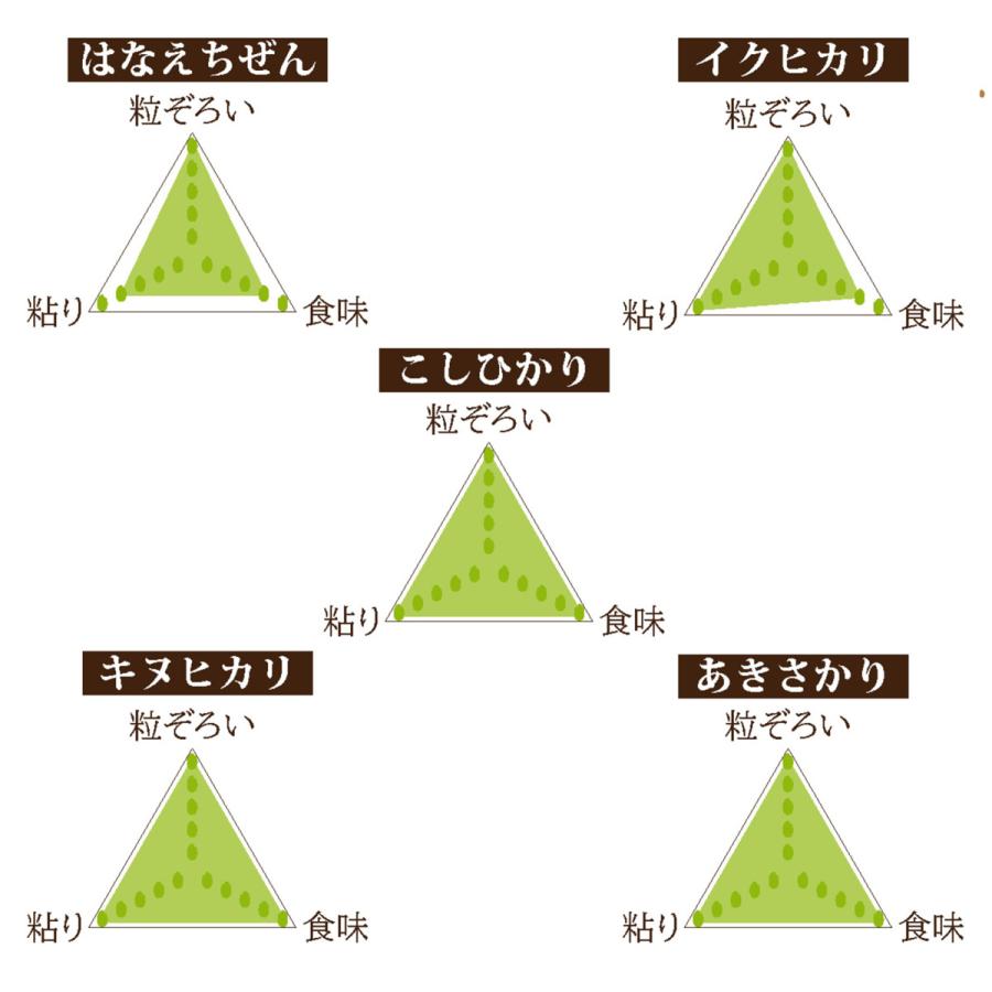 キヌヒカリ 玄米 30キロ 送料無料 令和5年度産 新米 1等級 福井県産 令和 おいしいお米 ふるさとの味