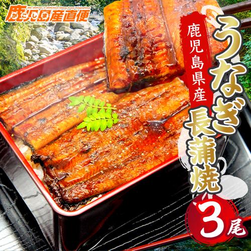 お歳暮 御歳暮 2023 国産 うなぎ 蒲焼き 約140g×3尾セット 鹿児島県産 送料無料 ギフト