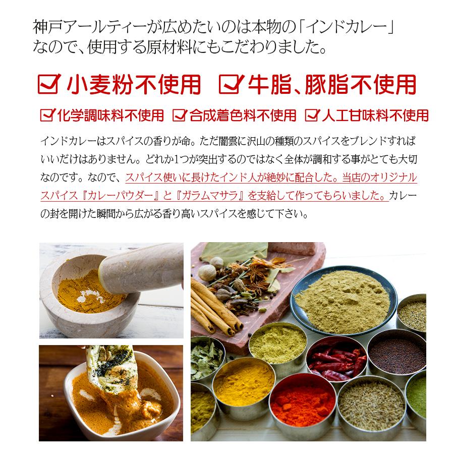 カレー  ダールチキンカレー 180g 単品 ≪パッケージ版≫ ゆうパケット送料無料