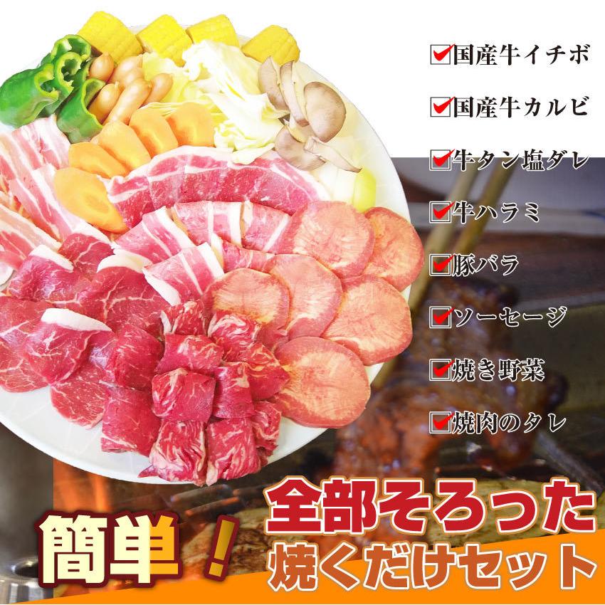 焼肉 セット 牛肉 肉 バーベキュー メガ盛り 野菜付 6〜8人前 BBQ 焼くだけ 福袋 グルメ お歳暮 ギフト 食品 プレゼント キャンプ キャンプ飯