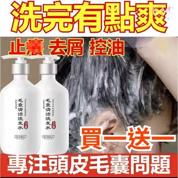 【買一送一】隔日達🔥毛囊清潔洗髪精 去屑止/癢清爽控油蓬松持久留香洗頭洗髪露 去屑順髪清爽頭皮洗髪精 控油清爽止癢洗髮精