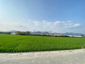 旗美商工｜特農臨路1.55分 舒心美農地｜高雄市美濃區美濃段