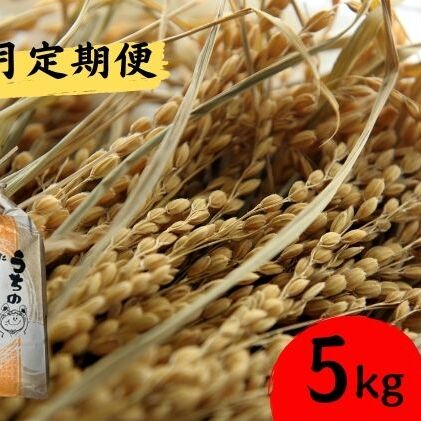 ■3ヵ月連続お届け■ 定期便 3回 北海道 豊浦 令和5年産 精米 ななつぼし 5kg ≪江刺家花園≫