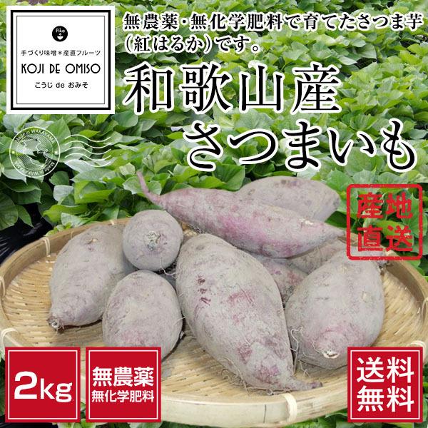 産地直送！和歌山産 無農薬 さつまいも（さつま芋）紅はるか 2kg　※サイズ・形状不揃い［送料無料］