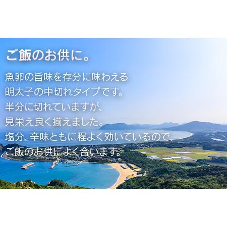 ふるさと納税 海千の「徳用明太子セット（小切れ）」無着色 500g×2 福岡県みやこ町