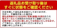 akune-19-18  ＜先行予約受付中！2024年6月下旬～8月下旬の間に発送予定＞数量限定！極甘！白いとうもろこし「雪やこんコーン」(8本) 19-18