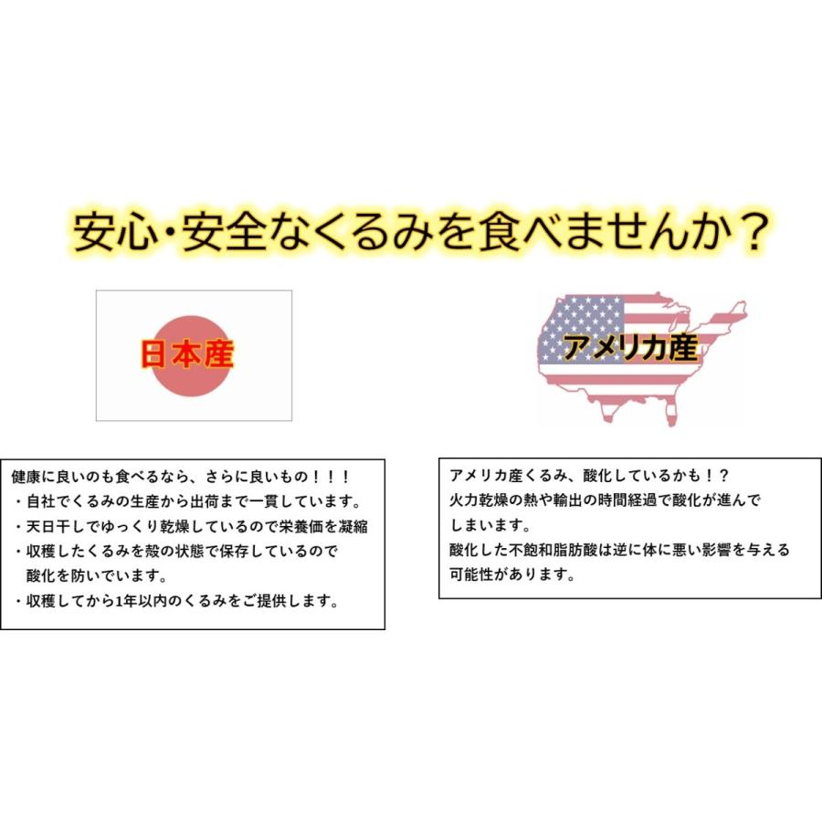 国産くるみ 剥きタイプ 生産者直売 国産 日本産 長野県産 むきくるみ クルミ 生くるみ ナッツ お得 おやつ 送料無料