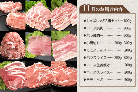 THE HOUBOQ 豚肉定期便冷凍庫泣かせのお肉大満喫セット HB-128