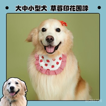 港子與狗寵物口水巾小中大型犬薩摩比熊金毛圍脖圍巾狗狗領結飾品