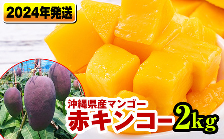 南国の果物　沖縄県産マンゴー　赤キンコー　2kg