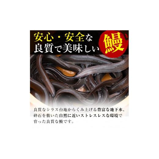 ふるさと納税 鹿児島県 志布志市 鹿児島県産うなぎ蒲焼 名水慈鰻 大9尾(1尾156g以上)＜計1.4kg以上＞ e8-001