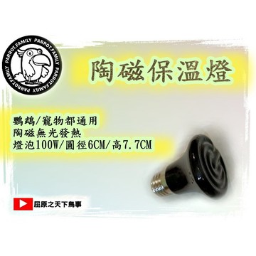 寵物保溫 鸚鵡保溫燈 加 陶瓷燈 鸚鵡 幼鳥保溫 鸚鵡燈泡