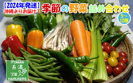 沖縄よりお届け！季節の野菜詰め合わせ（5～12種類）