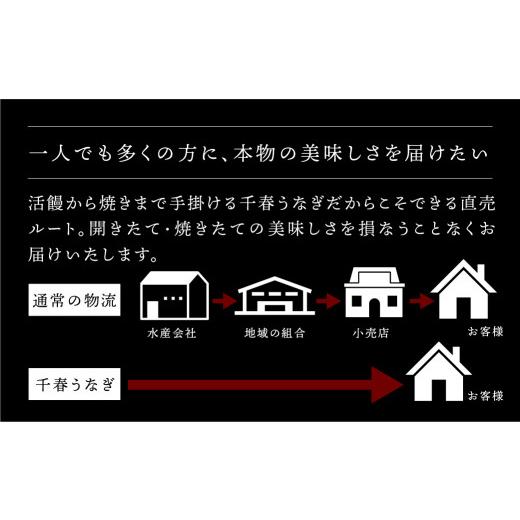 ふるさと納税 愛知県 田原市 厳選 高級 青うなぎ 白焼 6尾 900g 配送方法が選べる