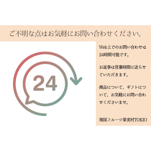 静岡産マスクメロン2玉木箱入（ギフト 御歳暮 御祝 誕生日プレゼント メロン）