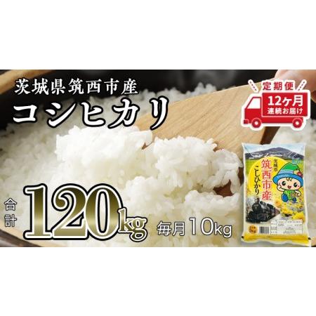 ふるさと納税  茨城県筑西市産 コシヒカリ 10kg 米 コメ コシヒカリ こしひかり 茨城県 単一米 精米  [CH010ci] 茨城県筑西市